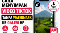 Cara Menyimpan Video Tiktok Tanpa Watermark Ke Galeri HP